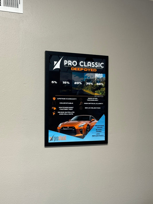Pro Classic Poster