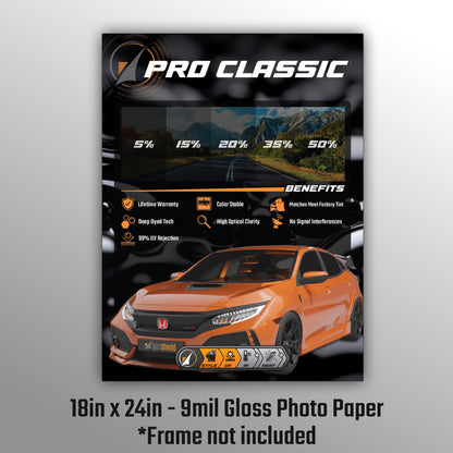 Pro Classic Poster