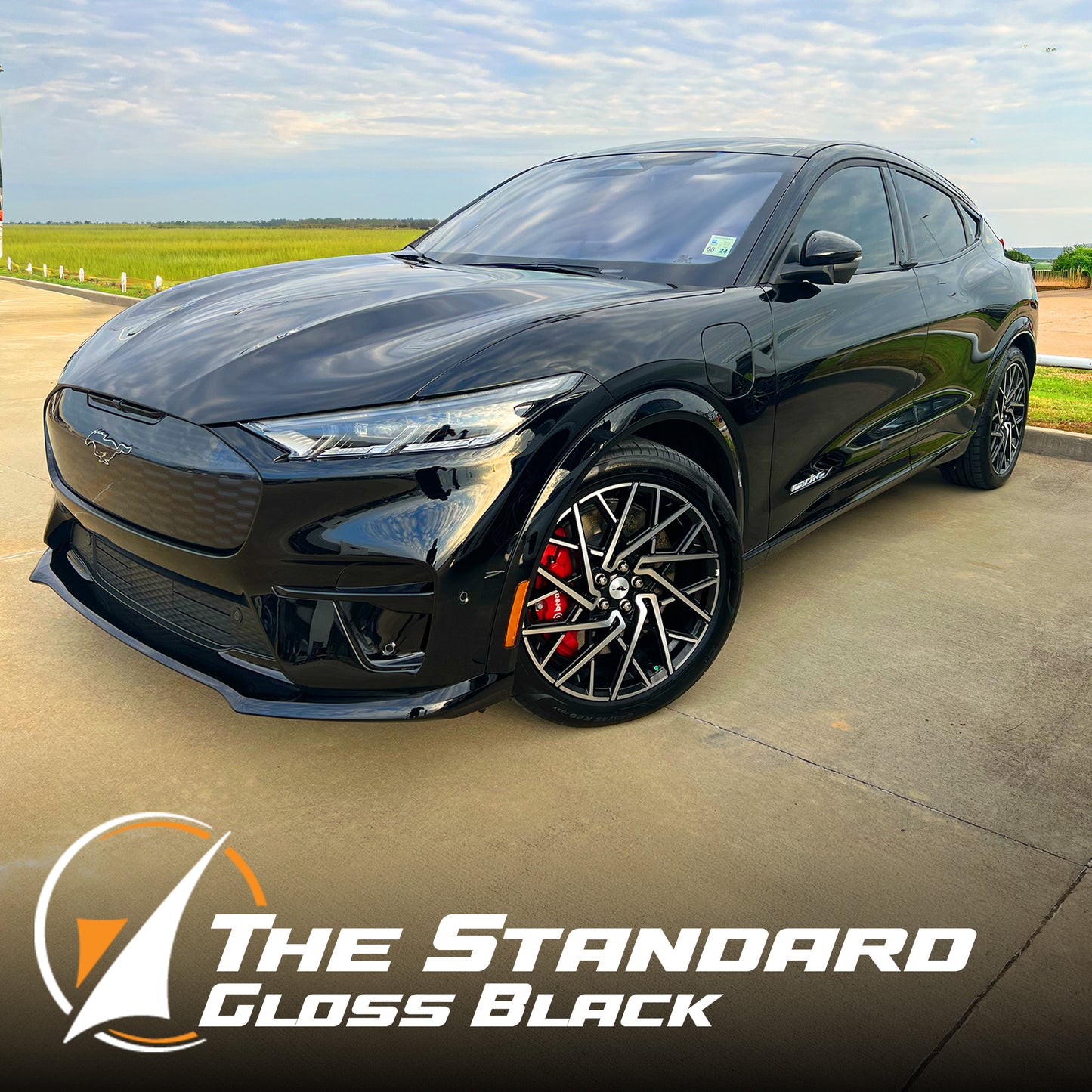 The Standard PPF - Gloss Black